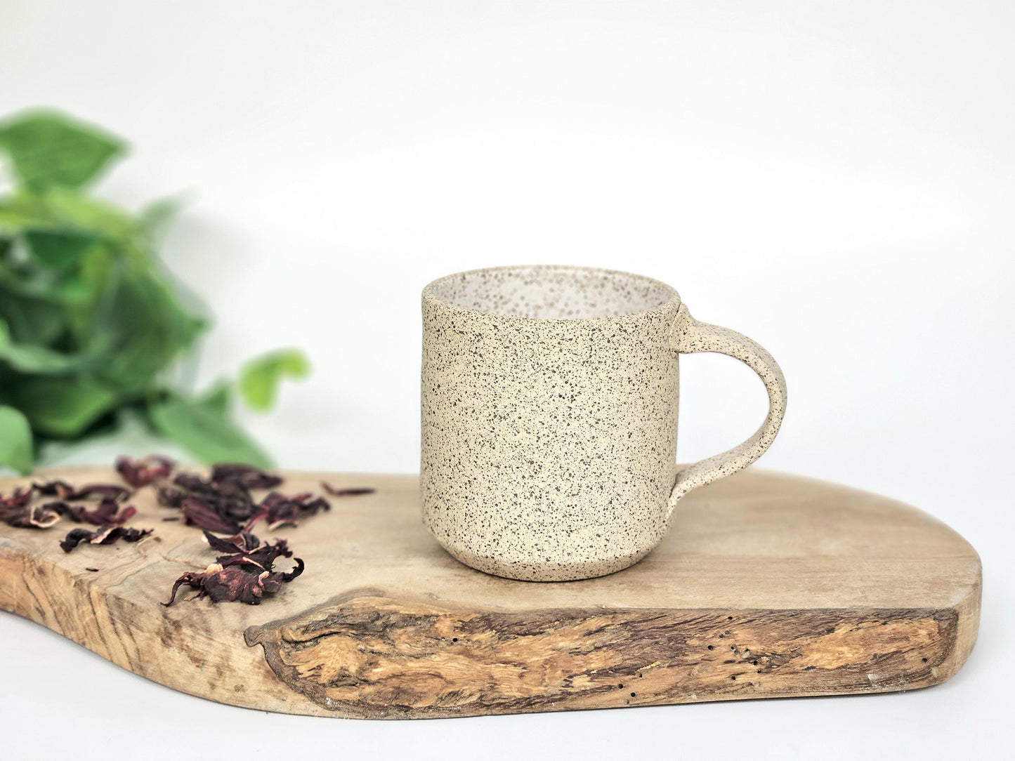 Handmade Ceramic Coffee Tea Mug Small Speckled White 8-10 oz Earthy Rustic Modern Aesthetic Unique Pottery Contemporary Dinnerware Stoneware
